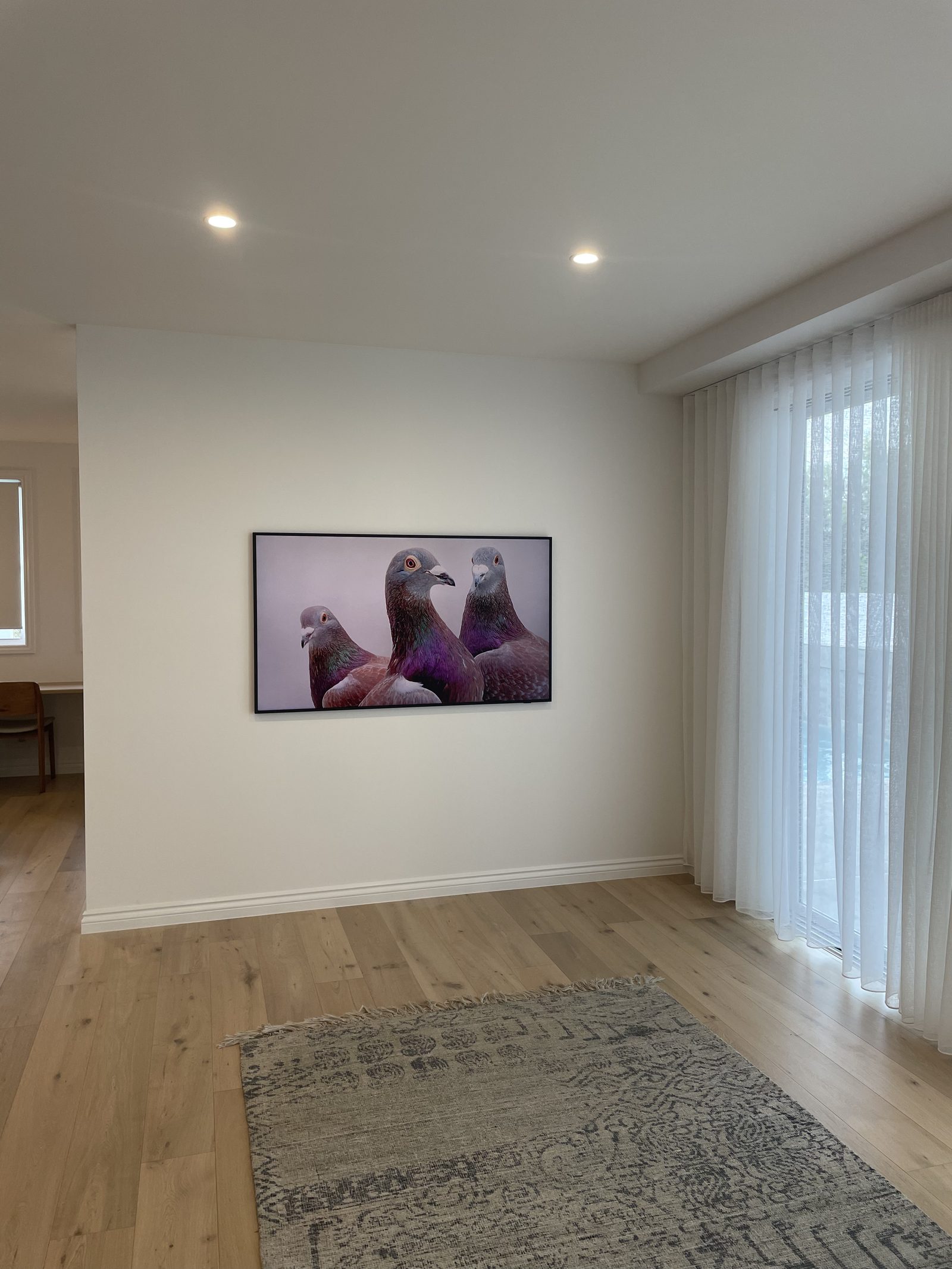 Framed photographic print of three pigeons hung centred on a lounge wall with sheer curtains beside and a patterned rug on a timber floor.