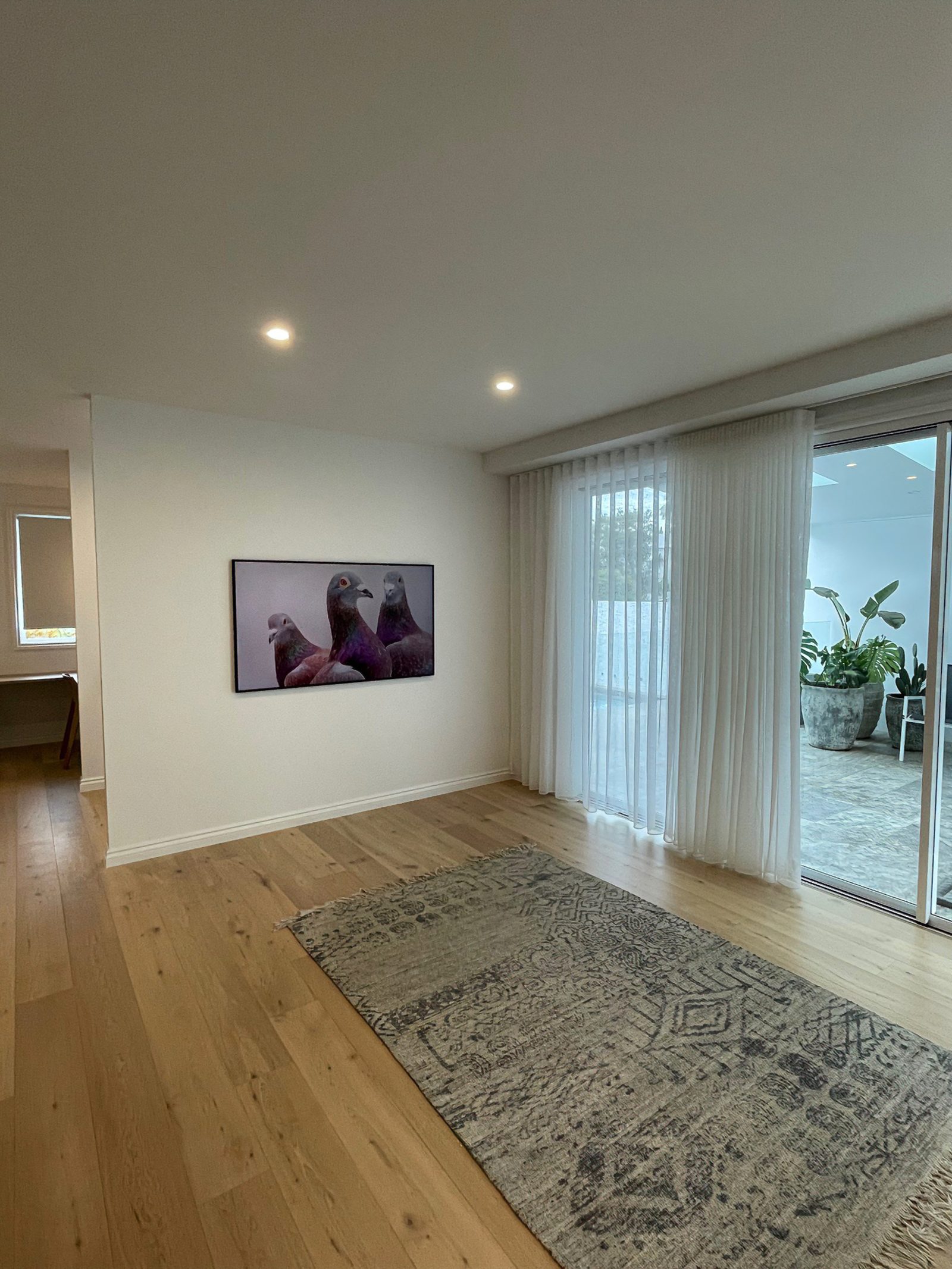 Large framed photographic print of three pigeons hung on a lounge feature wall, with sheer curtains alongside and a patterned rug below.