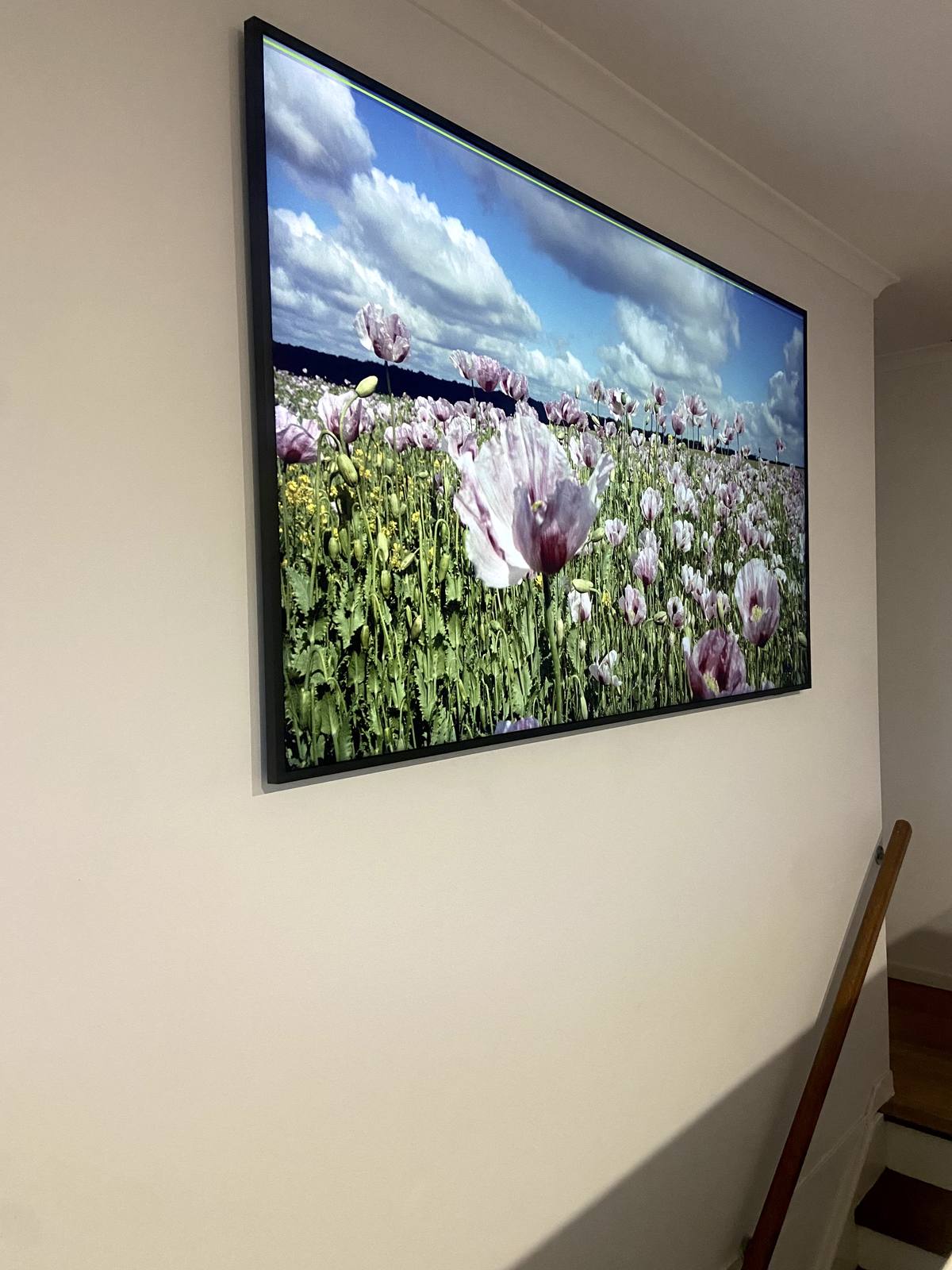 Samsung Frame TV displaying a field-of-poppies artwork, mounted level on a stairwell wall so it reads as a framed print.